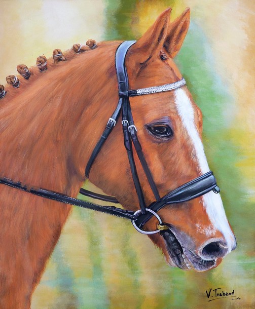 Peinture portrait de cheval roux et blanc d'aprs photo - Acrylique - Virginie Trabaud