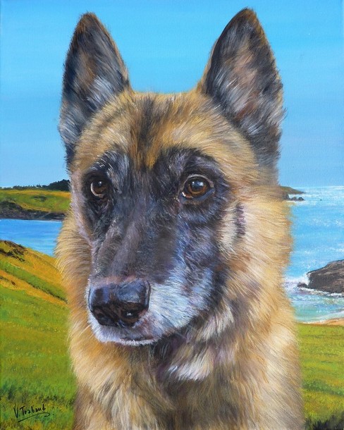 Portrait berger malinois bord de mer - Peinture acrylique - Cliquez sur l'image pour voir la fiche dtaille