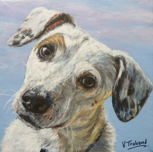 Peinture Portrait de Chien blanc avec taches noires marrons- Tableau d'aprs photo Virginie Trabaud Artiste Peintre Animalier