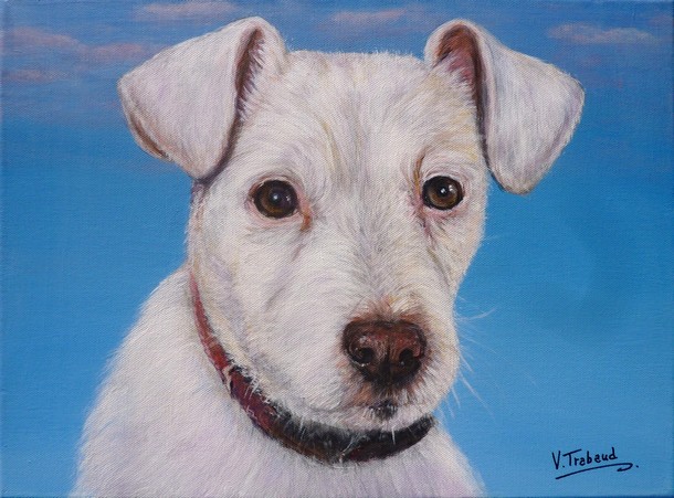 Peinture portrait de chien blanc d'aprs photo - acrylique - virginie Trabaud