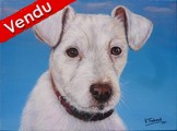 Peinture Portrait de Chien "baya" - Virginie Trabaud Artiste Peintre Animalier