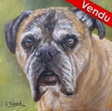 Peinture acrylique - Portrait de Boxer chien - Cliquez sur l'image pour voir la fiche et l'agrandissement