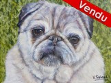 Peinture acrylique - Portrait de Chien Carlin - Cliquez sur l'image pour voir la fiche et l'agrandissement