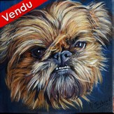 Peinture acrylique - Portrait de Chien Griffon Bruxellois- Cliquez sur l'image pour voir la fiche et l'agrandissement