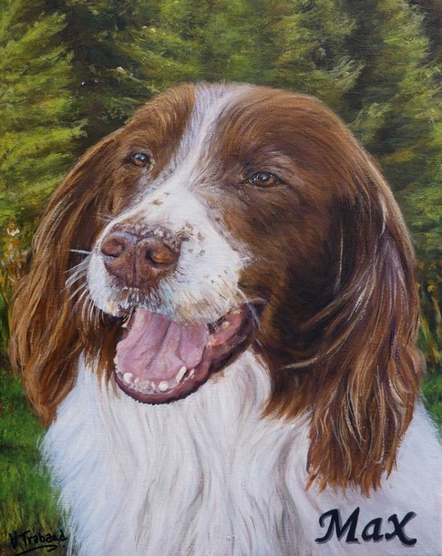 Peinture de Chien springer espagnol - d aprs photo acrylique Virginie TRABAUD Artiste Peintre