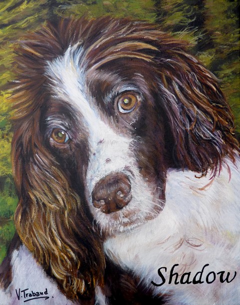 Peinture de Chien springer espagnol en foret - d aprs photo acrylique Virginie TRABAUD Artiste Peintre