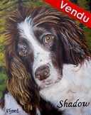 peinture springer espagnol portrait d'aprs photos- Cliquez sur l image pour voir la fiche dtaille et consulter le tarif de l oeuvre