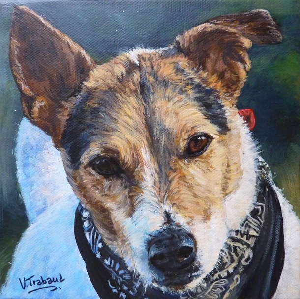 Peinture Portrait de Chien d aprs photo Jack Russel - Virginie Trabaud Artiste peintre