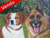 peinture portraits chiens epagneul et berger - Virginie trabaud - Cliquez sur l'image pour voir la fiche dtaille