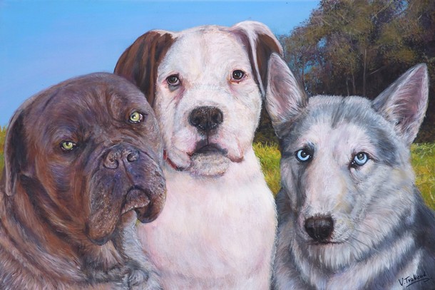 peinture portraits Cane corse Husky Boxer - Virginie TRABAUD Artiste peintre