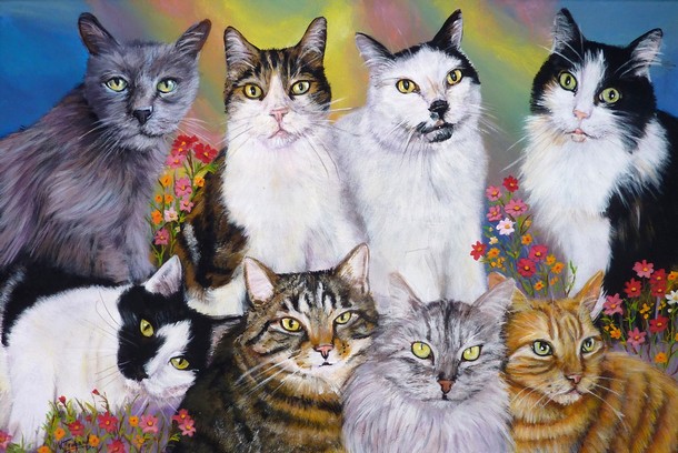 Peinture portraits de 8 chats - acrylique - Virginie Trabaud Artiste Peintre