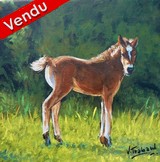 Peinture le poulain - tableau acrylique sur toile - virginie trabaud