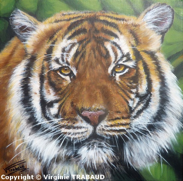 Peinture Portrait de Tigre - Acrylique - Virginie Trabaud Artiste Peintre Animalier