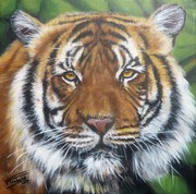 Peinture Le Tigre Portrait - Acrylique - virginie Trabaud Artiste Peintre