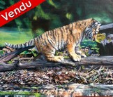 Peinture en Relief 3D -  Bb Tigre et rivire - Virginie Trabaud