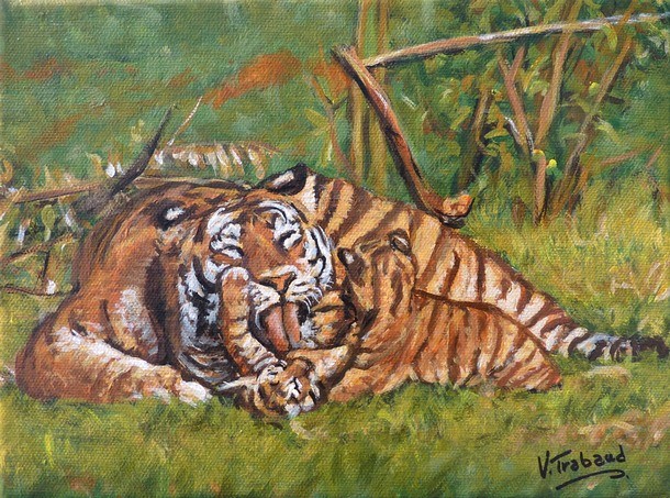 Peinture Les Tigres mre et petits La Toilette - Virginie Trabaud Artiste Peintre Animalier