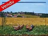 peinture village de bourgogne poule et coq st agnan - Cliquez sur l image pour voir la fiche dtaille et le tarif de l oeuvre