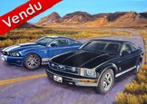 peinture mustang noire et mustang bleue - Cliquez sur l image pour voir la fiche dtaille et le tarif de l oeuvre